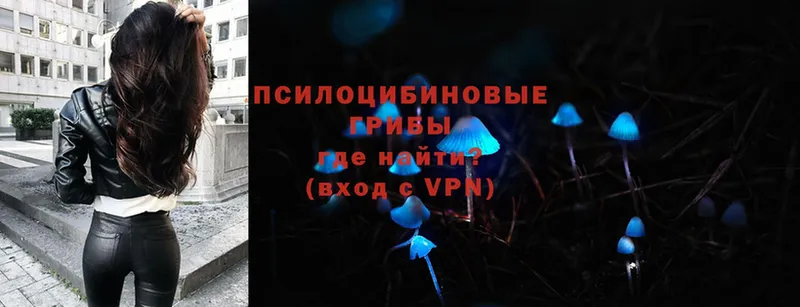 Псилоцибиновые грибы Psilocybe Зея